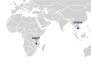 A world map highlights two locations with blue markers. Mal31 denotes a location in Southern Africa and KH004 signifies a Southeast Asia location.