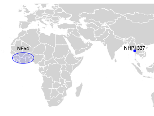 A world map highlights two locations: NF54, a strain of malaria, is marked in West Africa. HP133, another malaria strain, is marked in Southeast Asia.